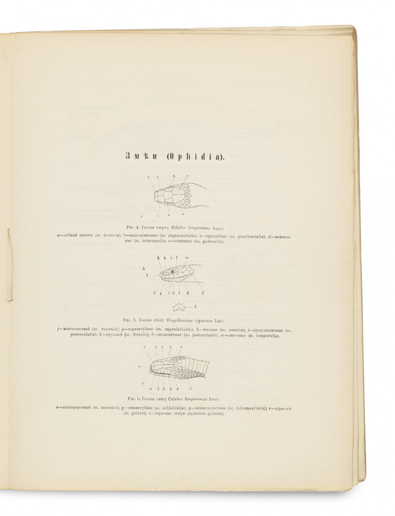 Image: 1