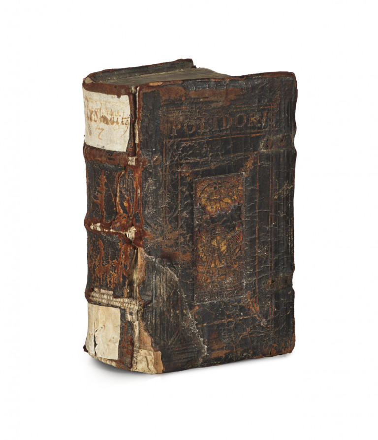 Image:
                        Lot 63