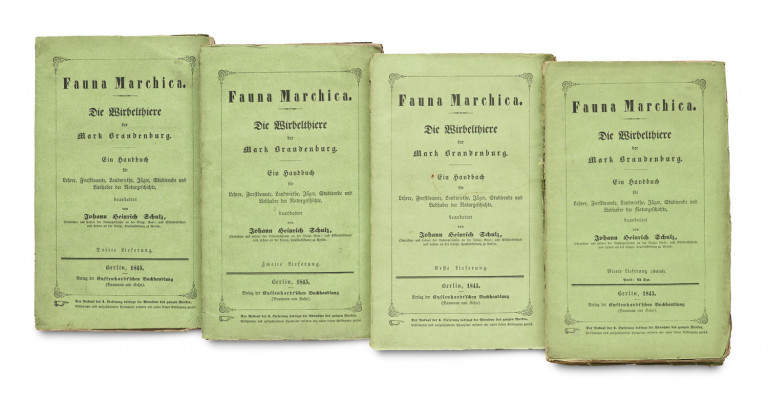 Image:
                        Lot 1351