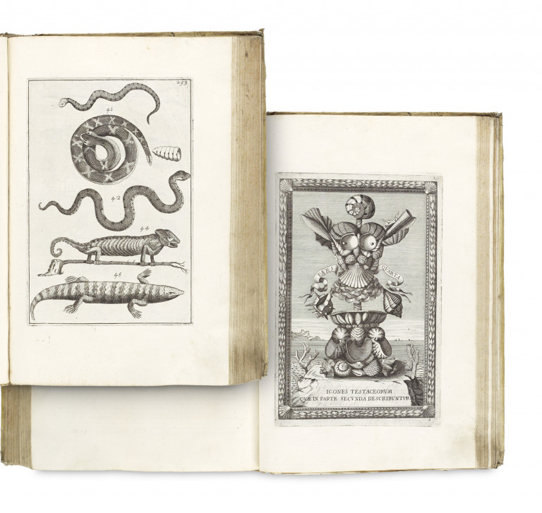 Image:
                        Lot 1178