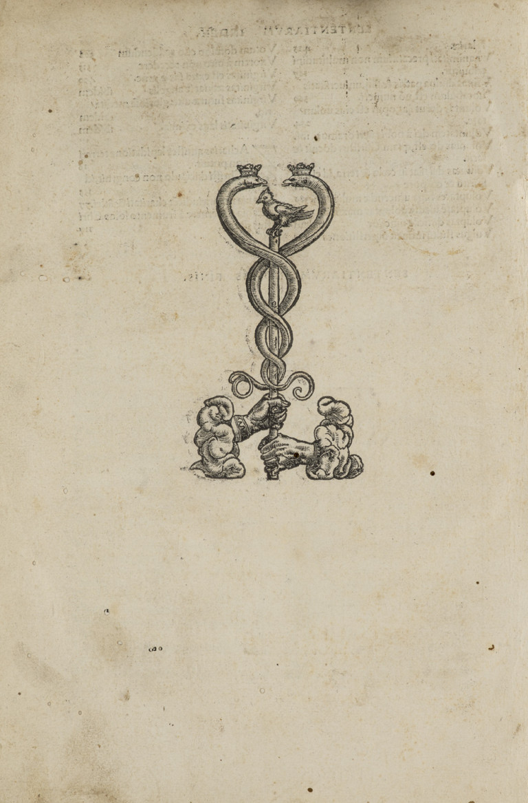 Image: 1