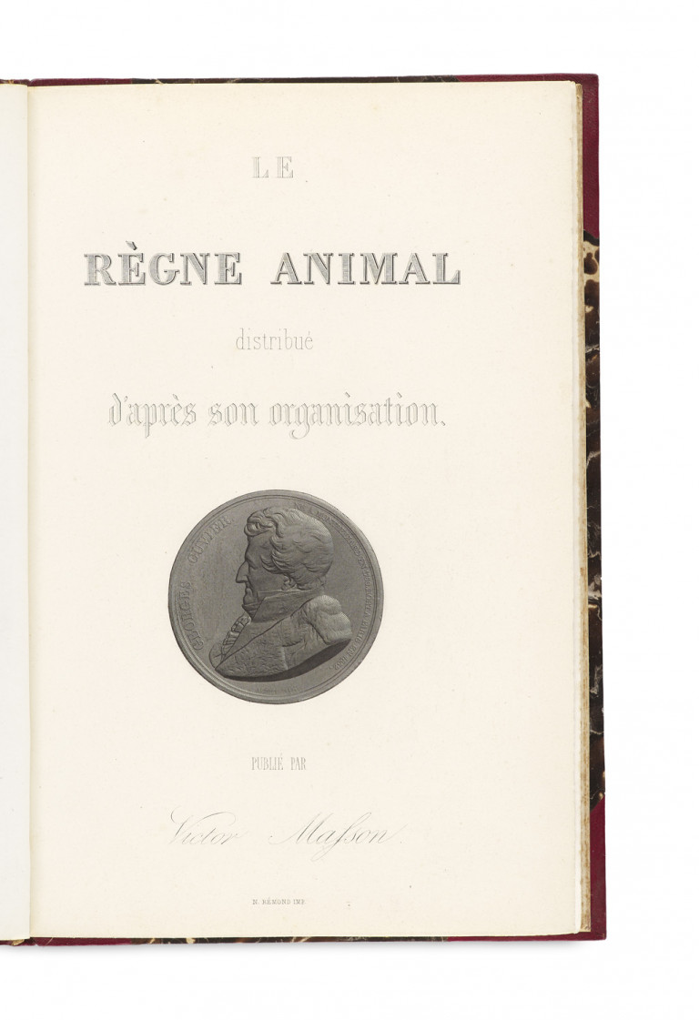Image: 1