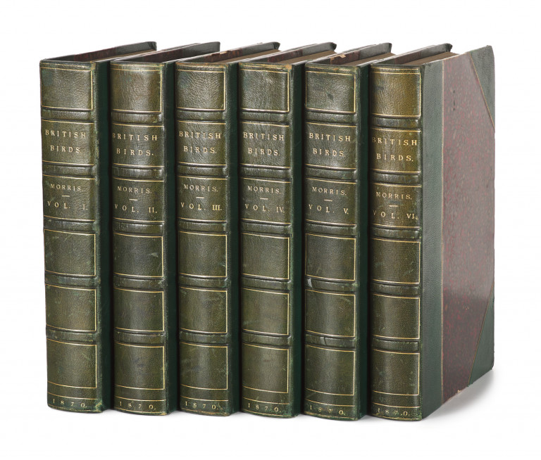 Image:
                        Lot 1421