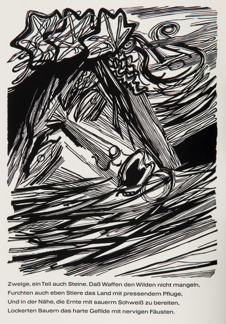 Image:
                        Lot 715