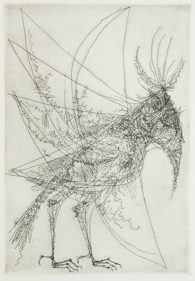 Image:
                        Lot 705