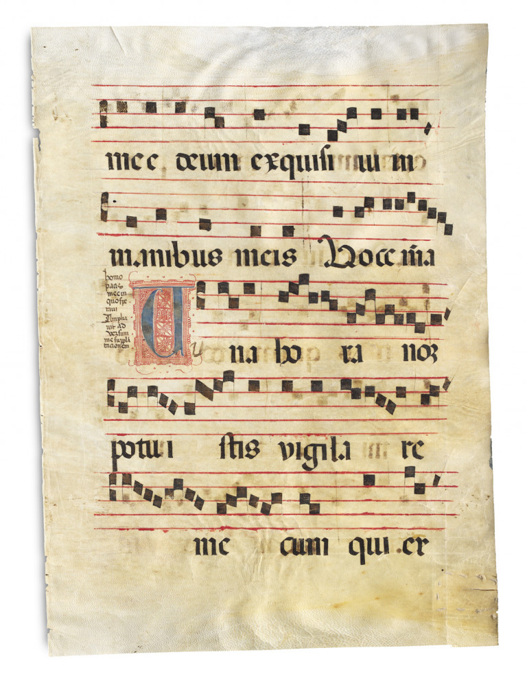 Image:
                        Lot 149