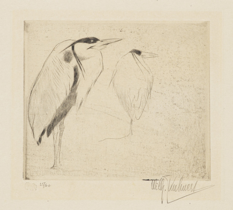Image:
                        Lot 1437