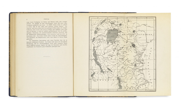 Image:
                        Lot 1393