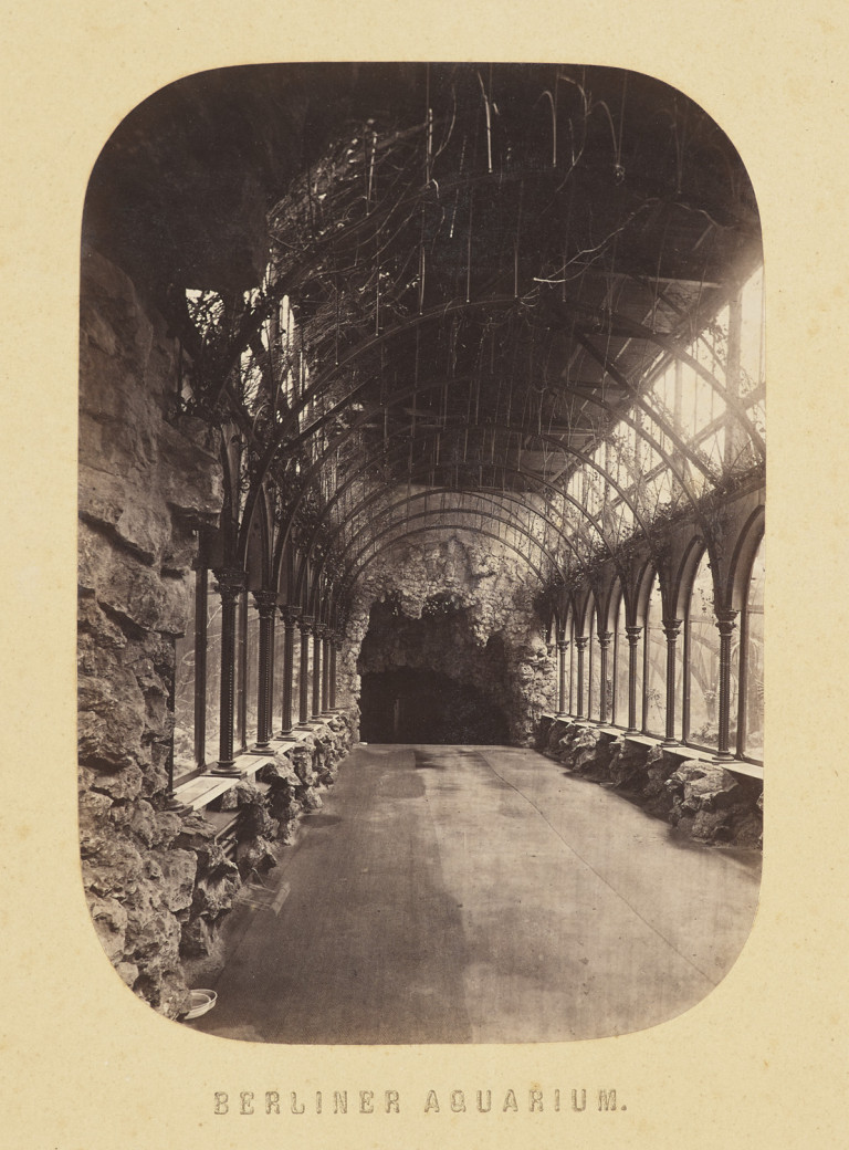 Image: 1