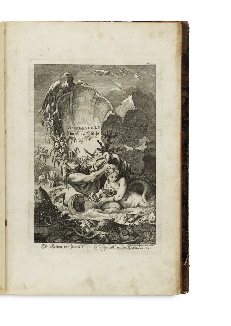 Image:
                        Lot 1359