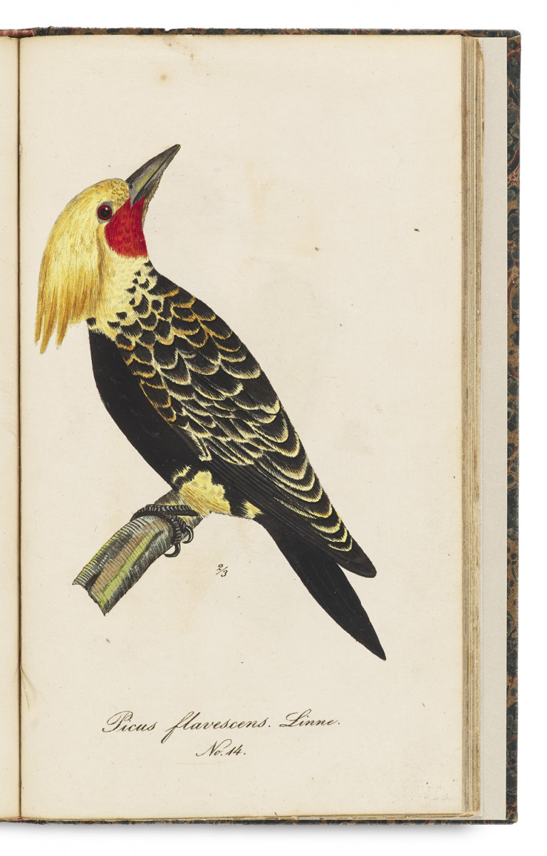 Image:
                        Lot 1417
