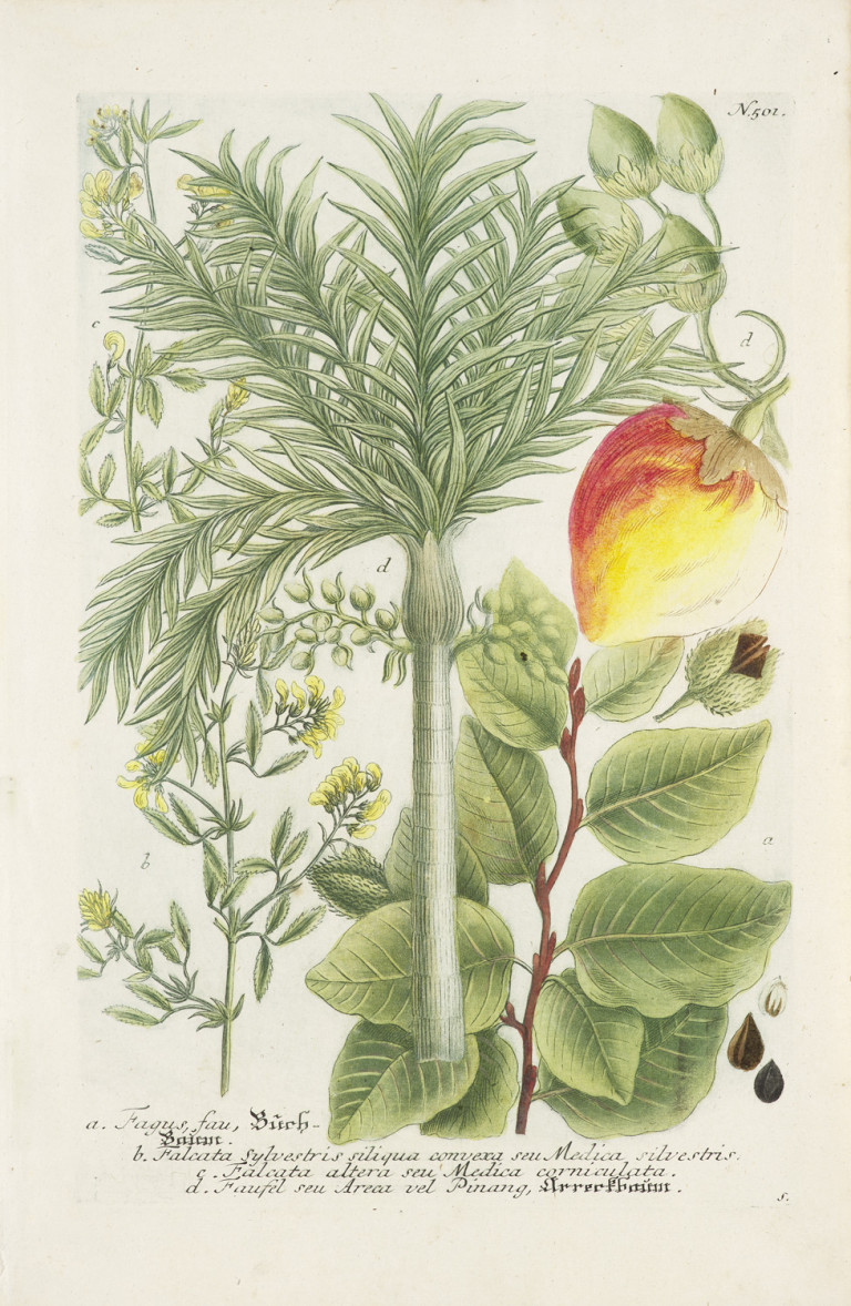 Image: 2