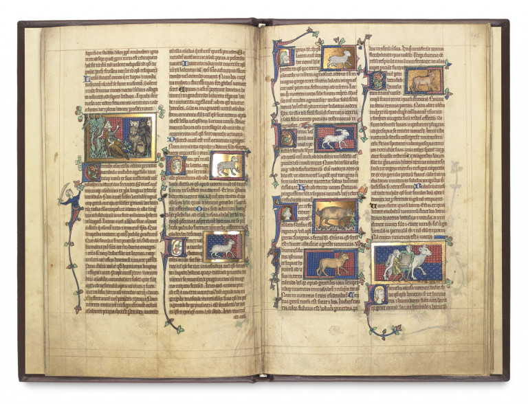 Image:
                        Lot 233