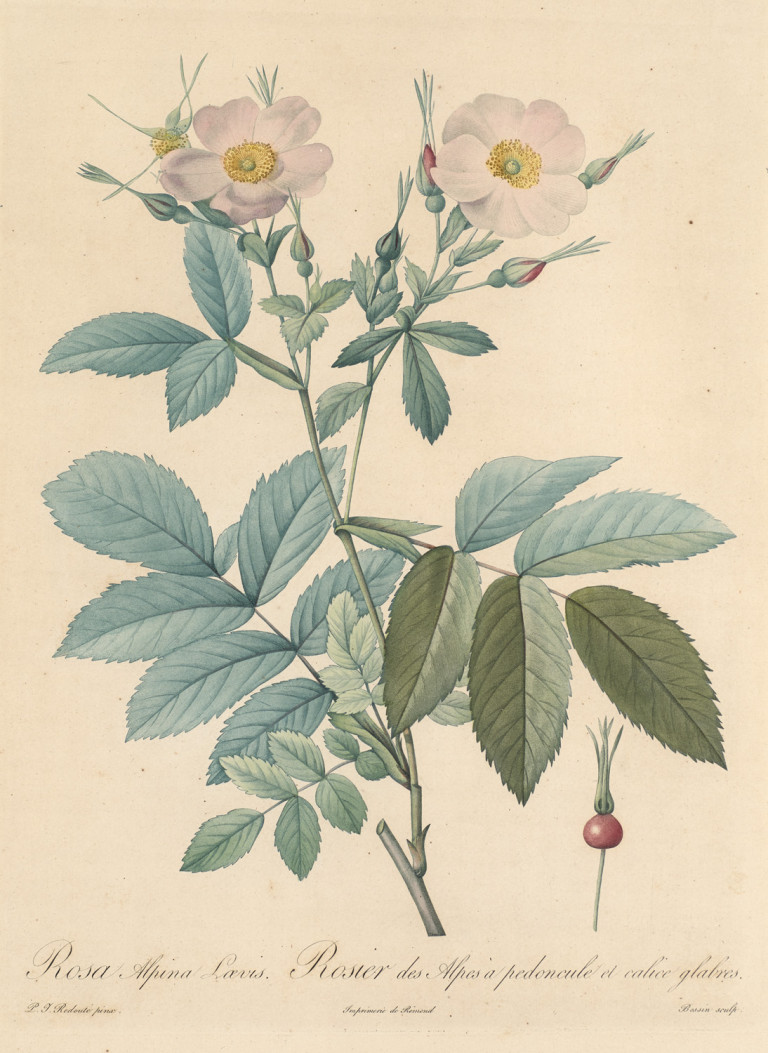 Image:
                        Lot 1852