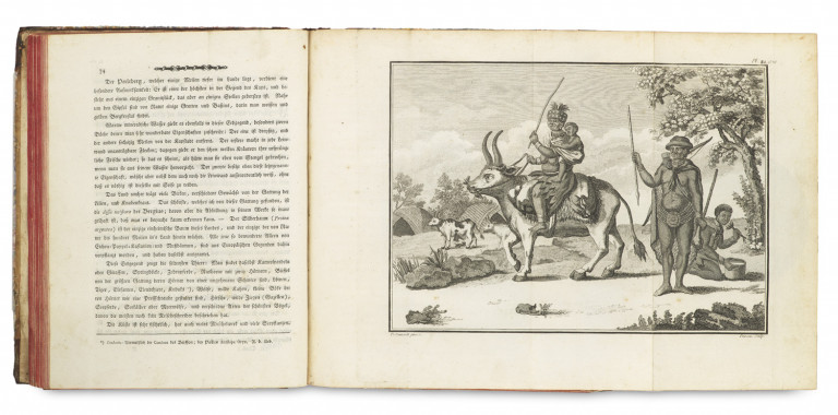 Image:
                        Lot 1551