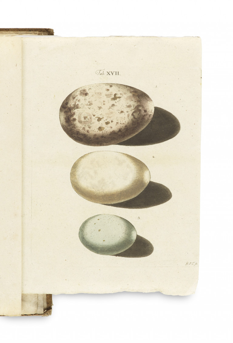 Image: 1
