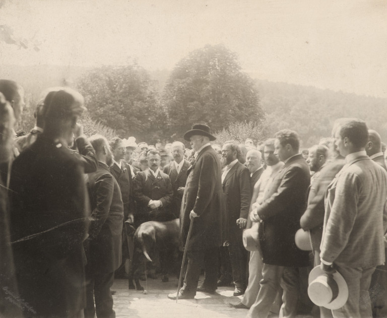 Image:
                        Lot 1691