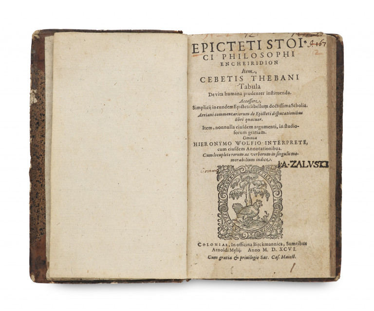 Image:
                        Lot 50