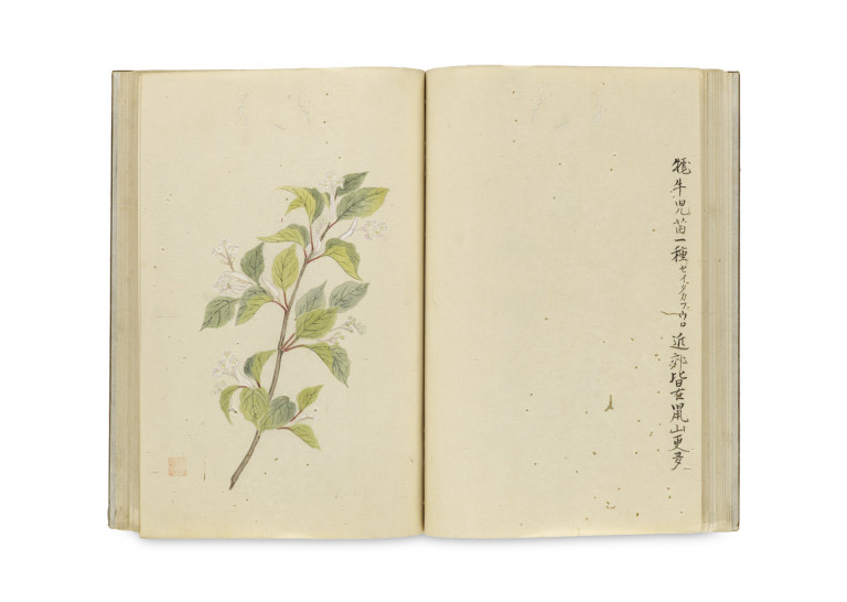 Image:
                        Lot 1232