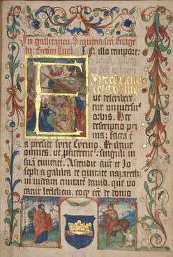 Image:
                        Lot 260