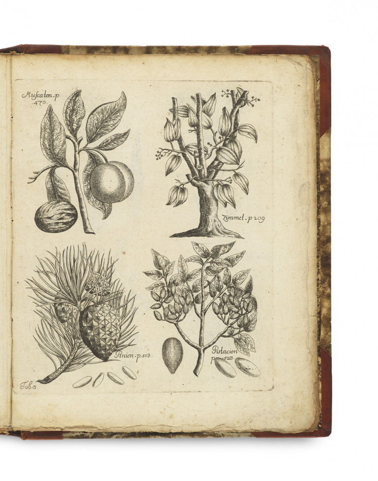 Image:
                        Lot 1311