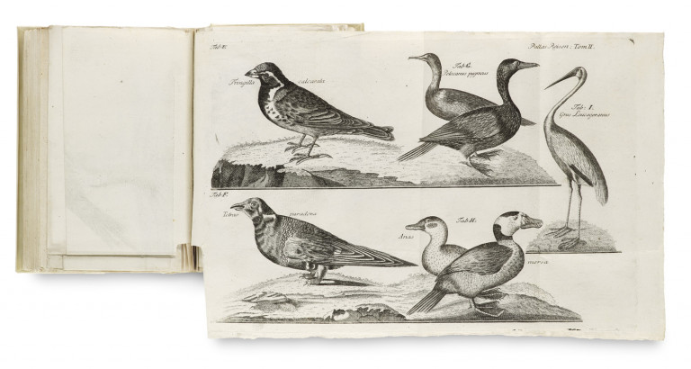 Image:
                        Lot 1639
