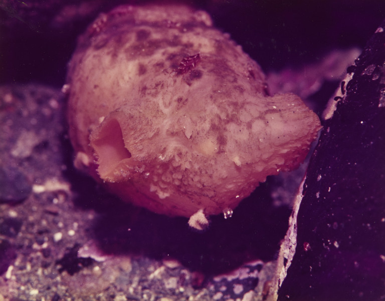 Image: 4