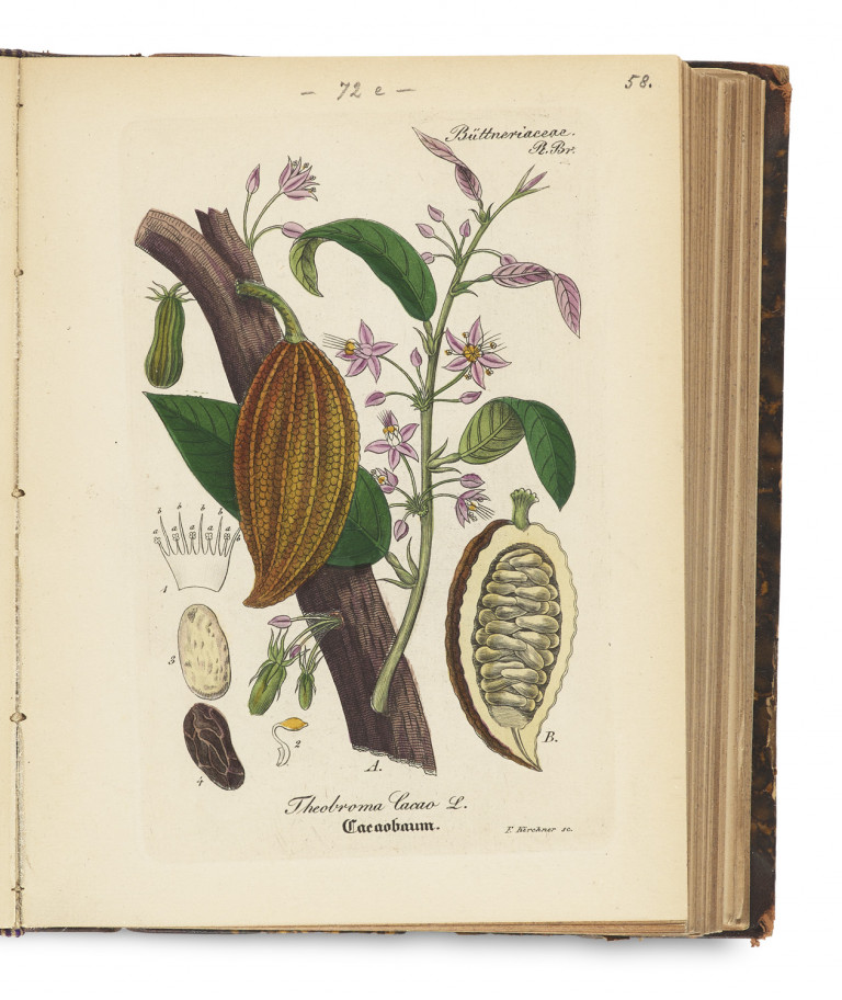 Image:
                        Lot 1228