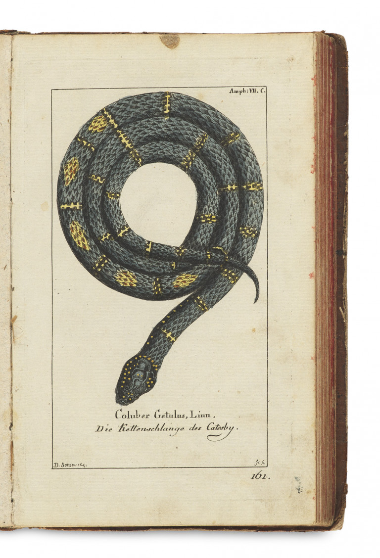 Image:
                        Lot 1366