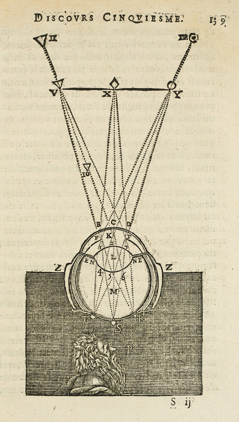 Image: 1