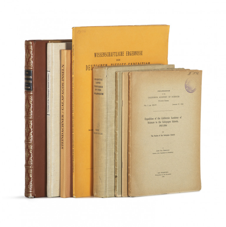 Image:
                        Lot 1391