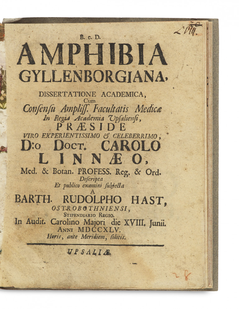 Image:
                        Lot 1376