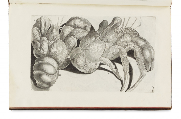 Image:
                        Lot 1360
