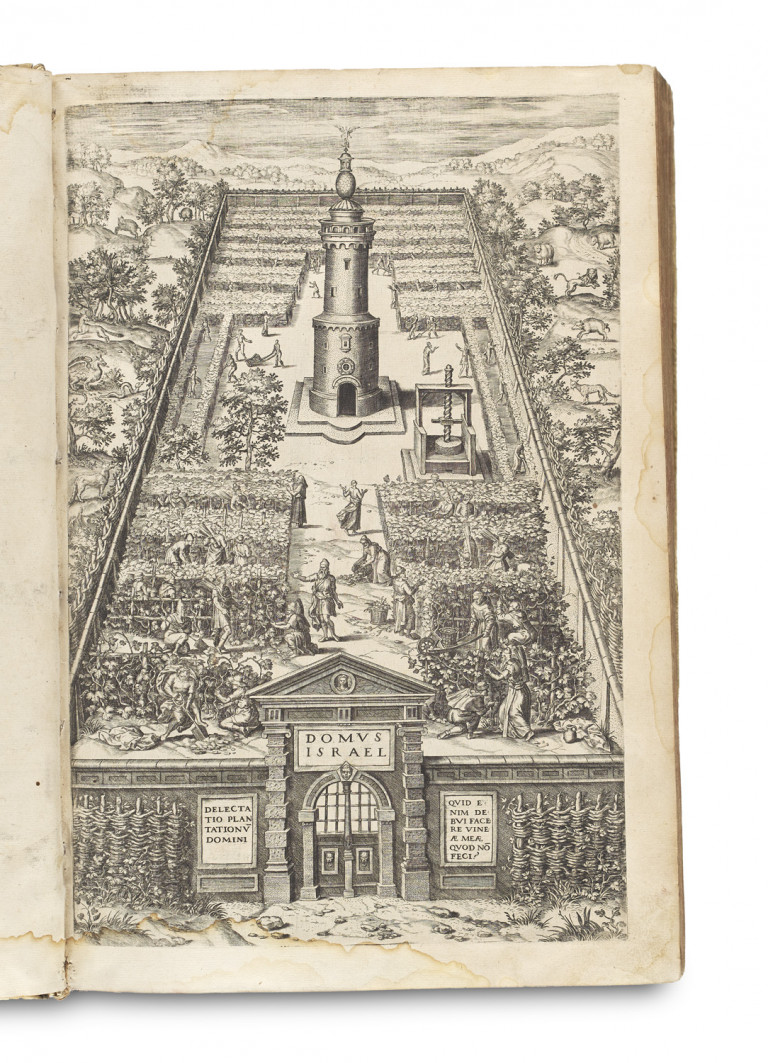 Image:
                        Lot 11