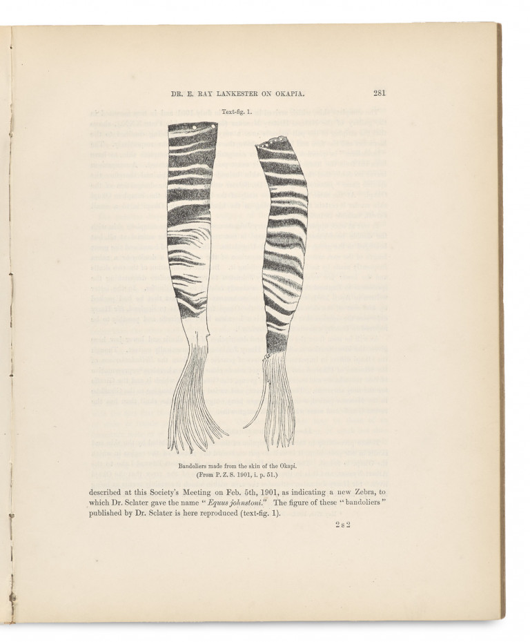 Image:
                        Lot 1358