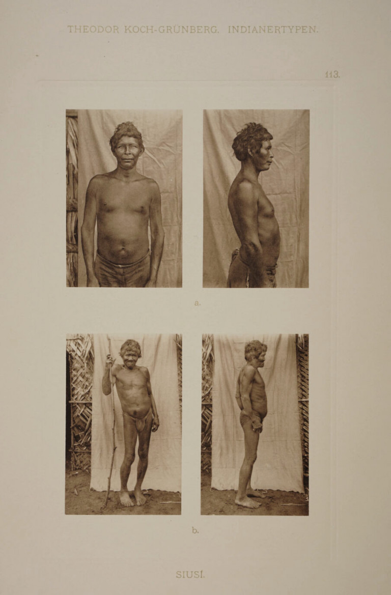 Image:
                        Lot 1579
