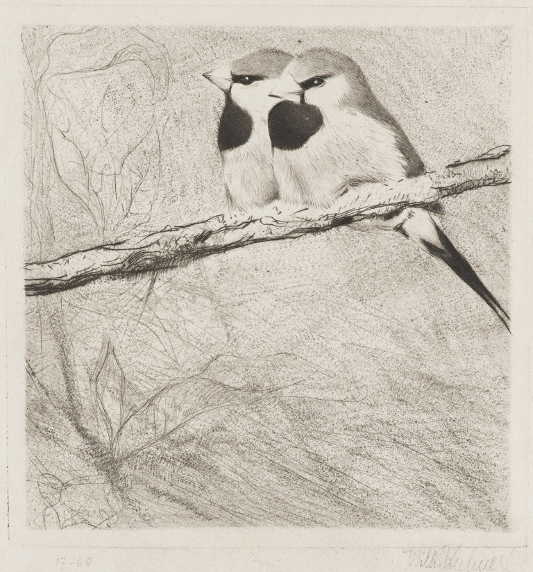 Image:
                        Lot 1443