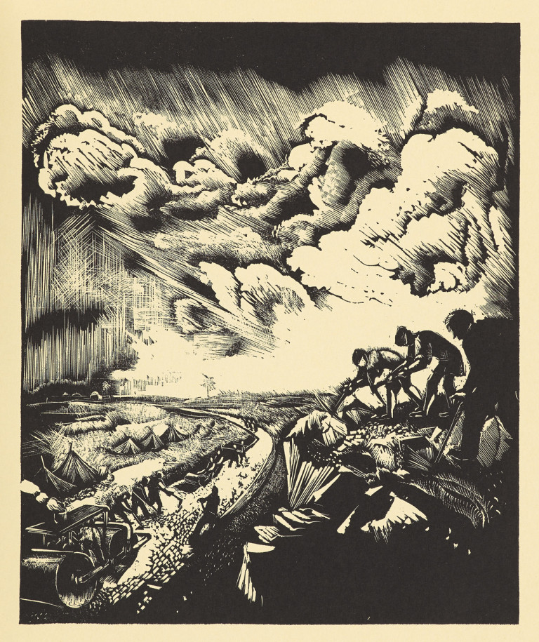 Image:
                        Lot 410