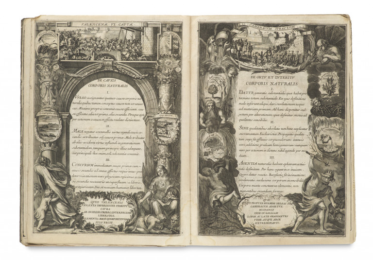 Image:
                        Lot 377
