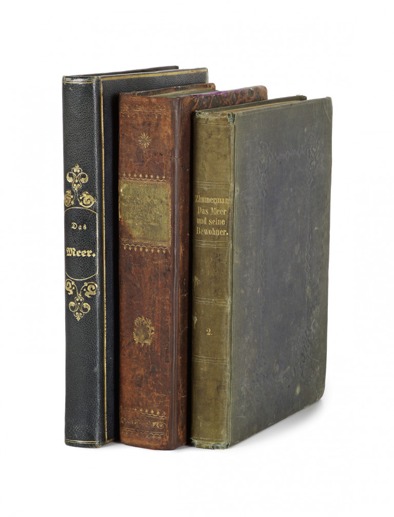 Image:
                        Lot 1516