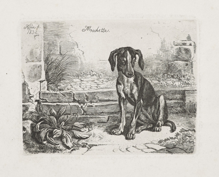 Image:
                        Lot 1961