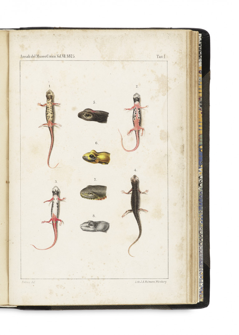 Image:
                        Lot 1399