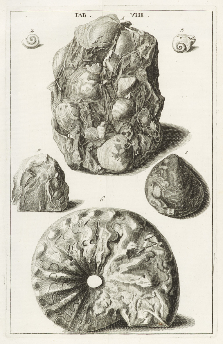 Image:
                        Lot 1267