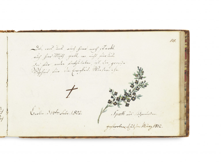 Image: 2