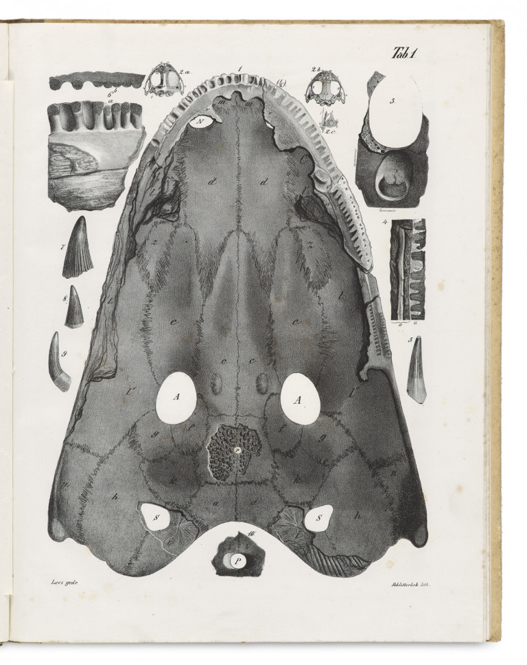 Image:
                        Lot 1314