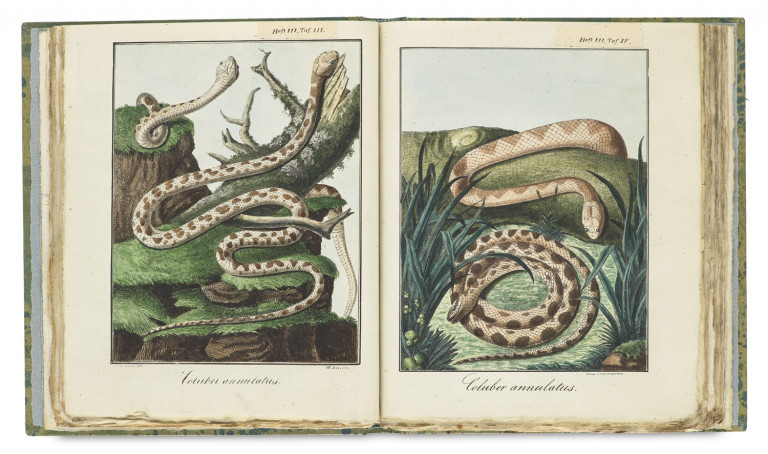 Image: 1