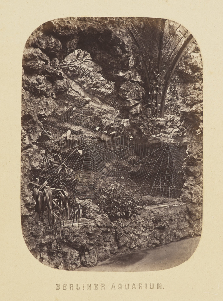 Image: 2