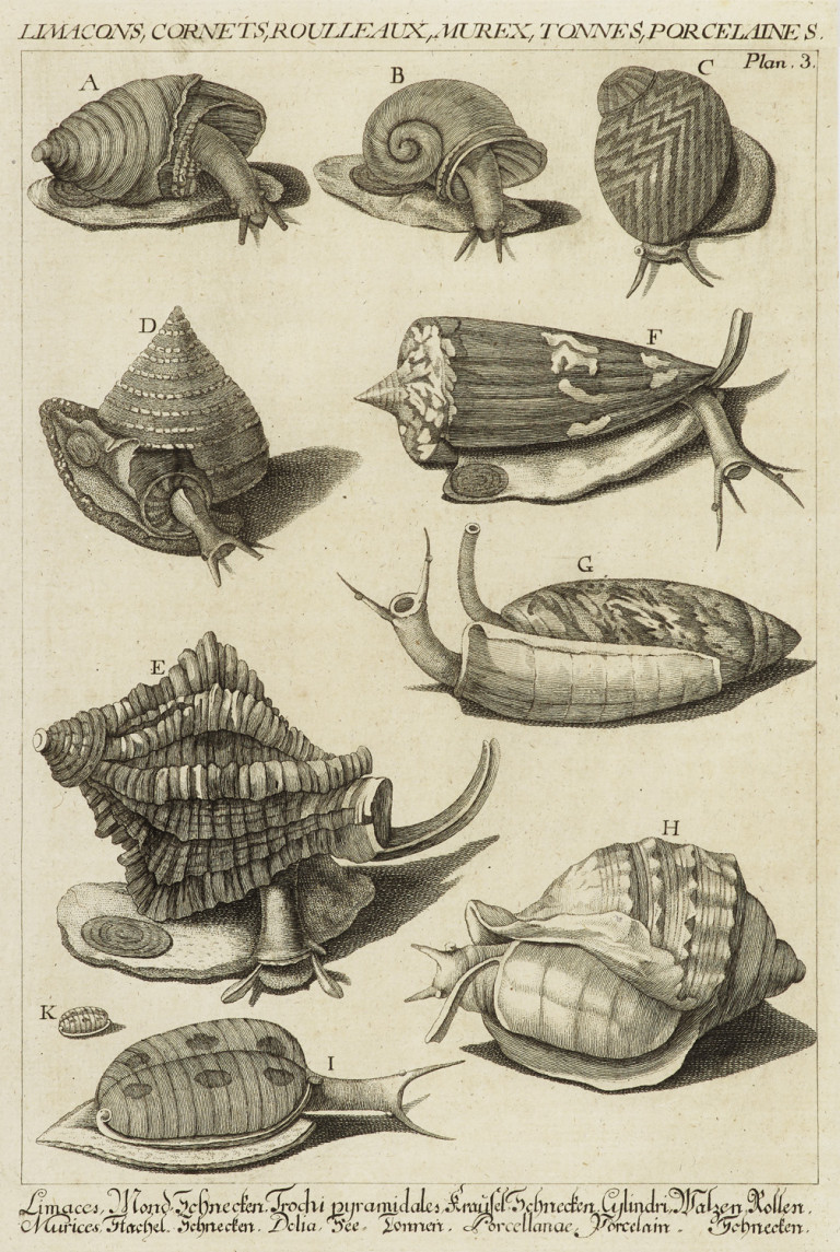 Image: 1