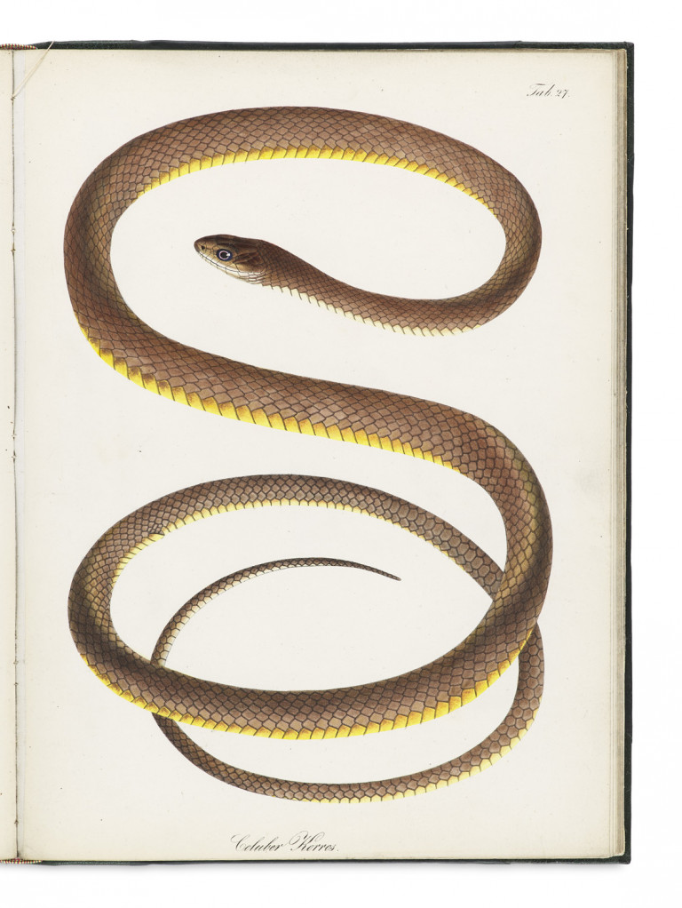 Image: 1