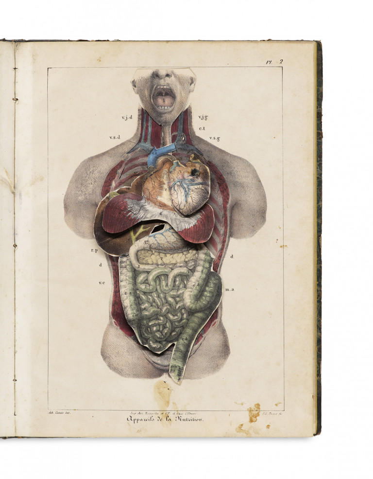 Image:
                        Lot 1214
